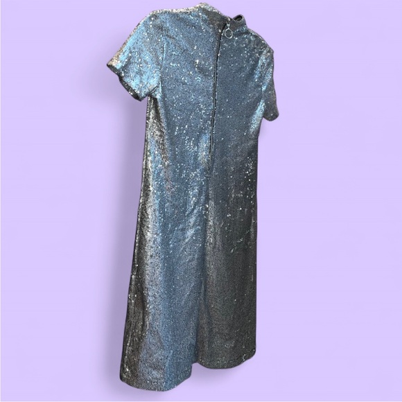 Silver Sequined Dress - Picture 3 of 9